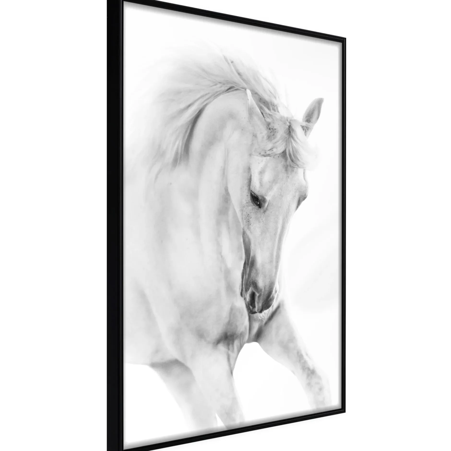 Poster 'White Horse'