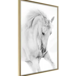Poster 'White Horse'