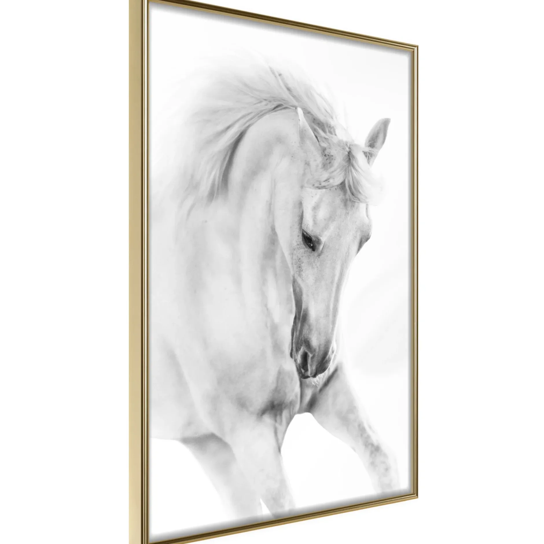 Poster 'White Horse'