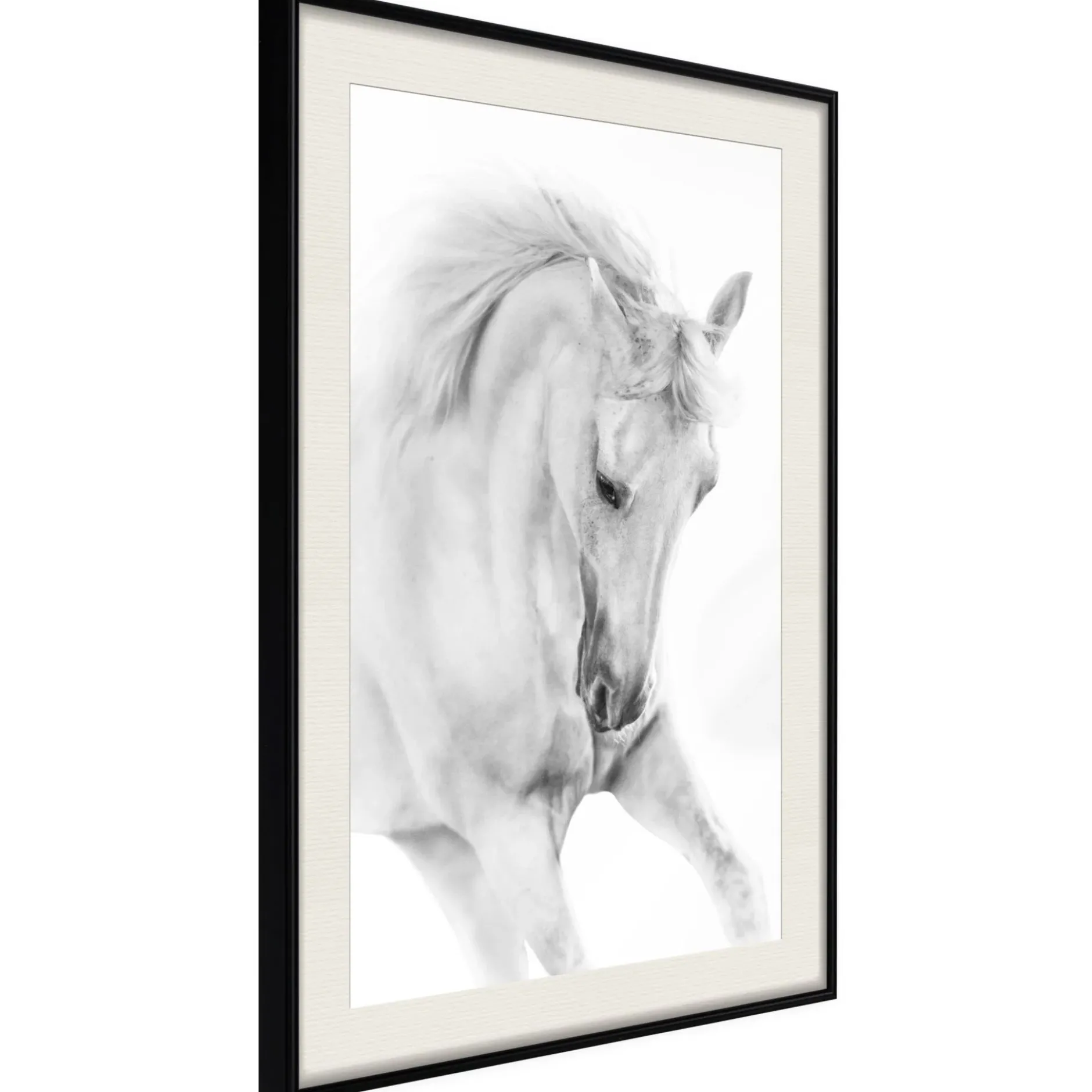 Poster 'White Horse'