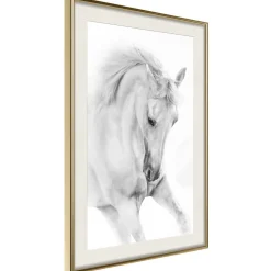 Poster 'White Horse'