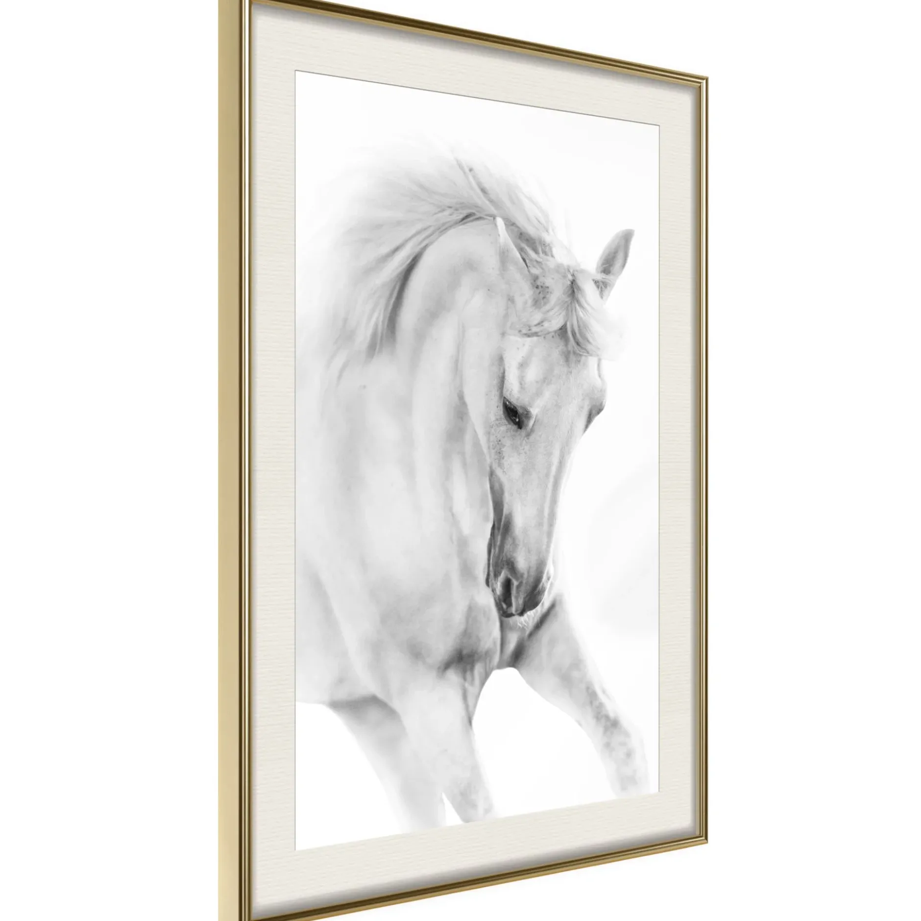 Poster 'White Horse'