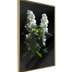 Poster 'White Lilac'