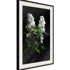 Poster 'White Lilac'