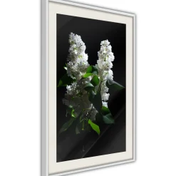 Poster 'White Lilac'