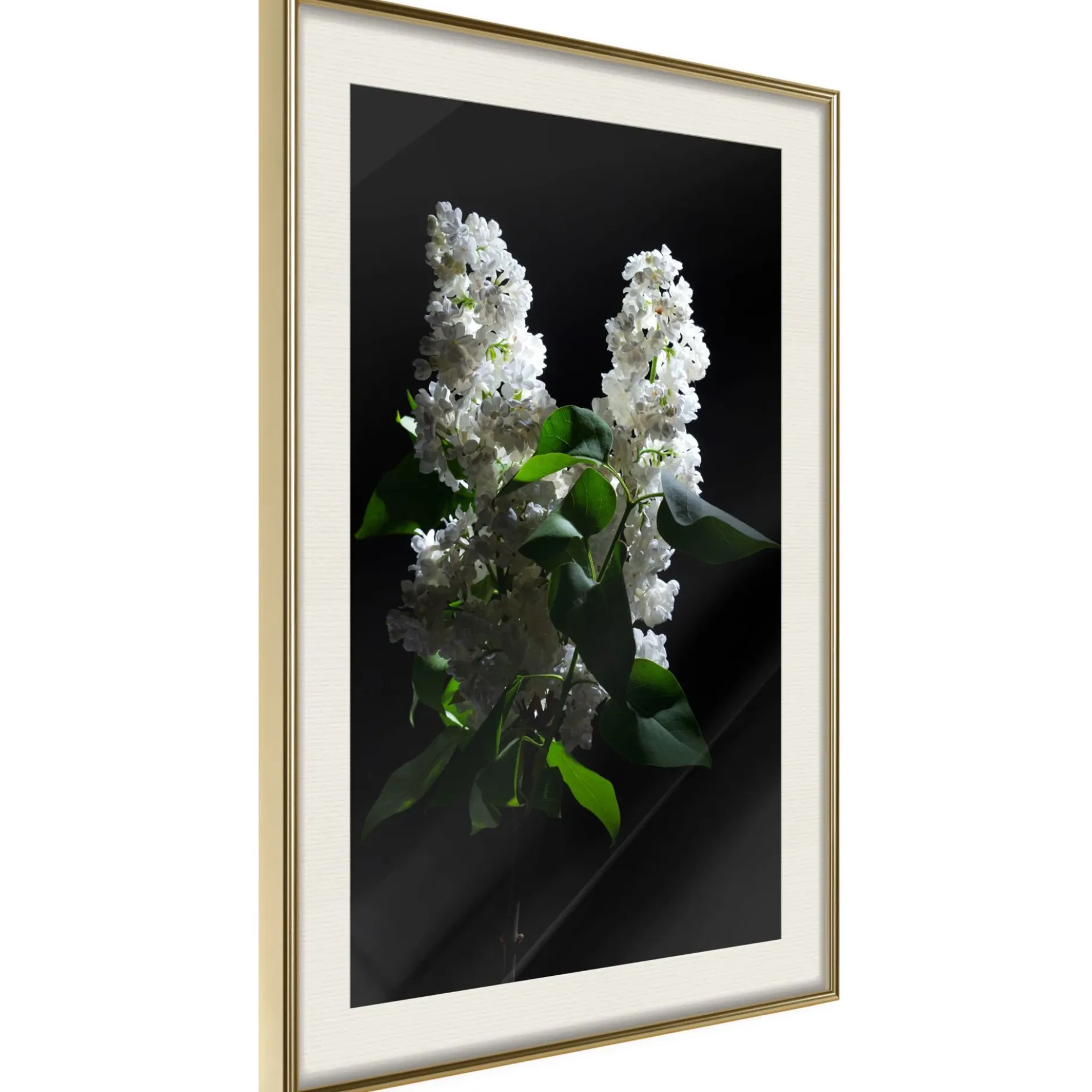 Poster 'White Lilac'