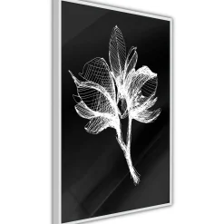 Poster 'White Plant'
