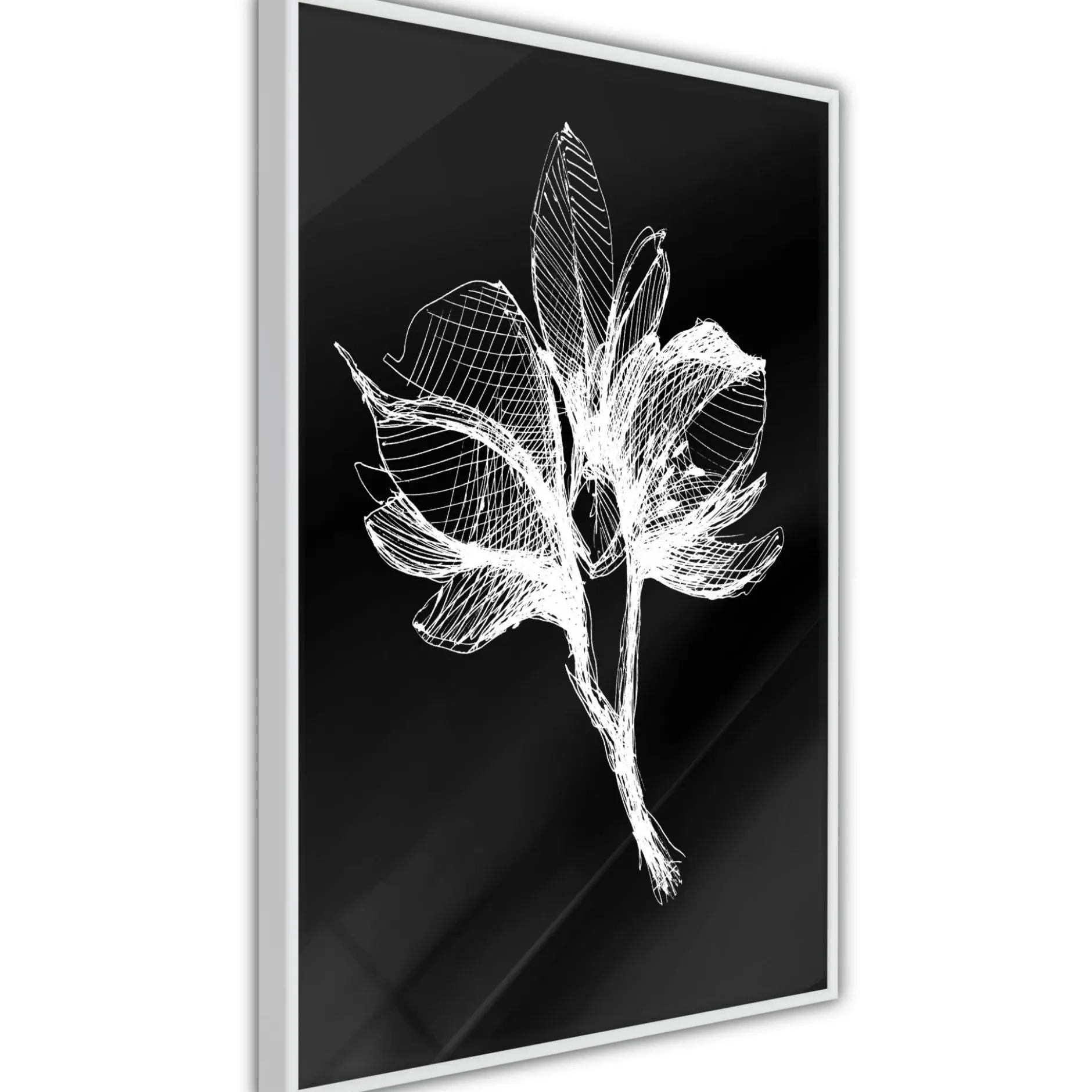 Poster 'White Plant'