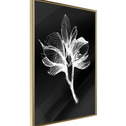 Poster 'White Plant'