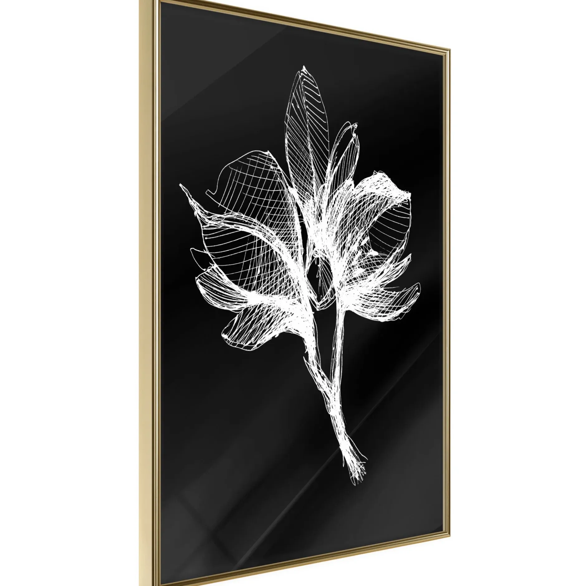 Poster 'White Plant'