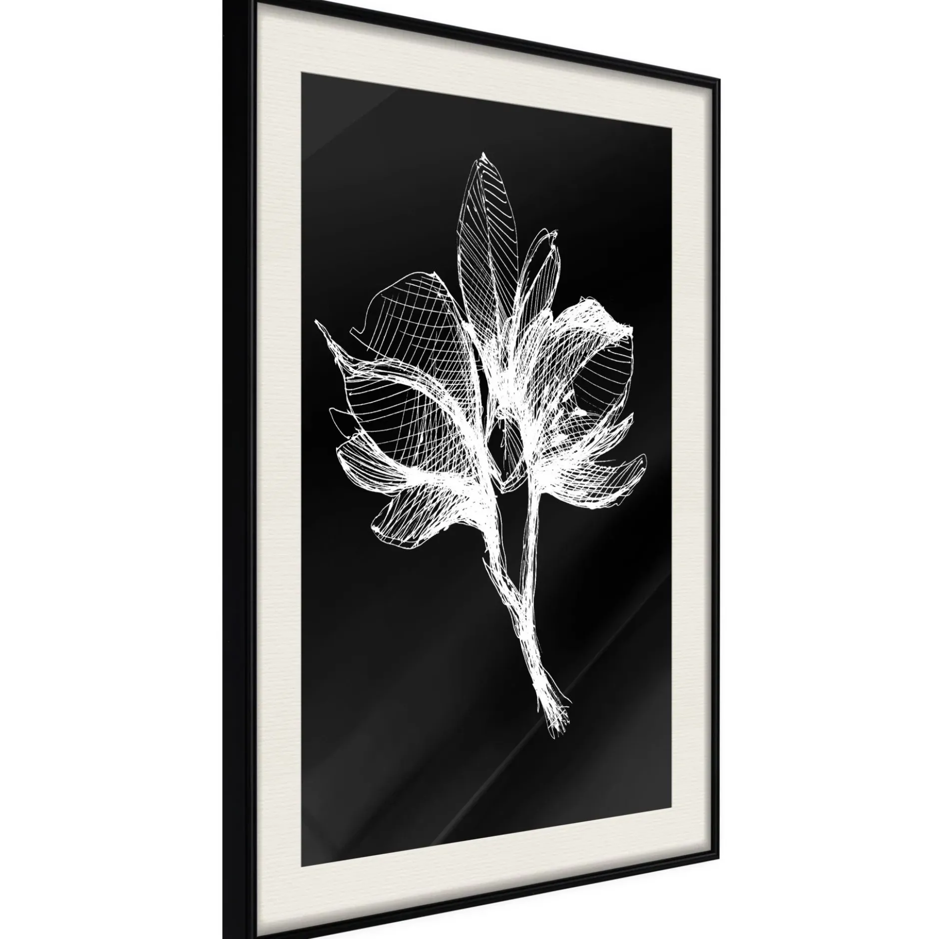 Poster 'White Plant'