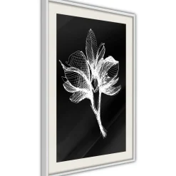 Poster 'White Plant'
