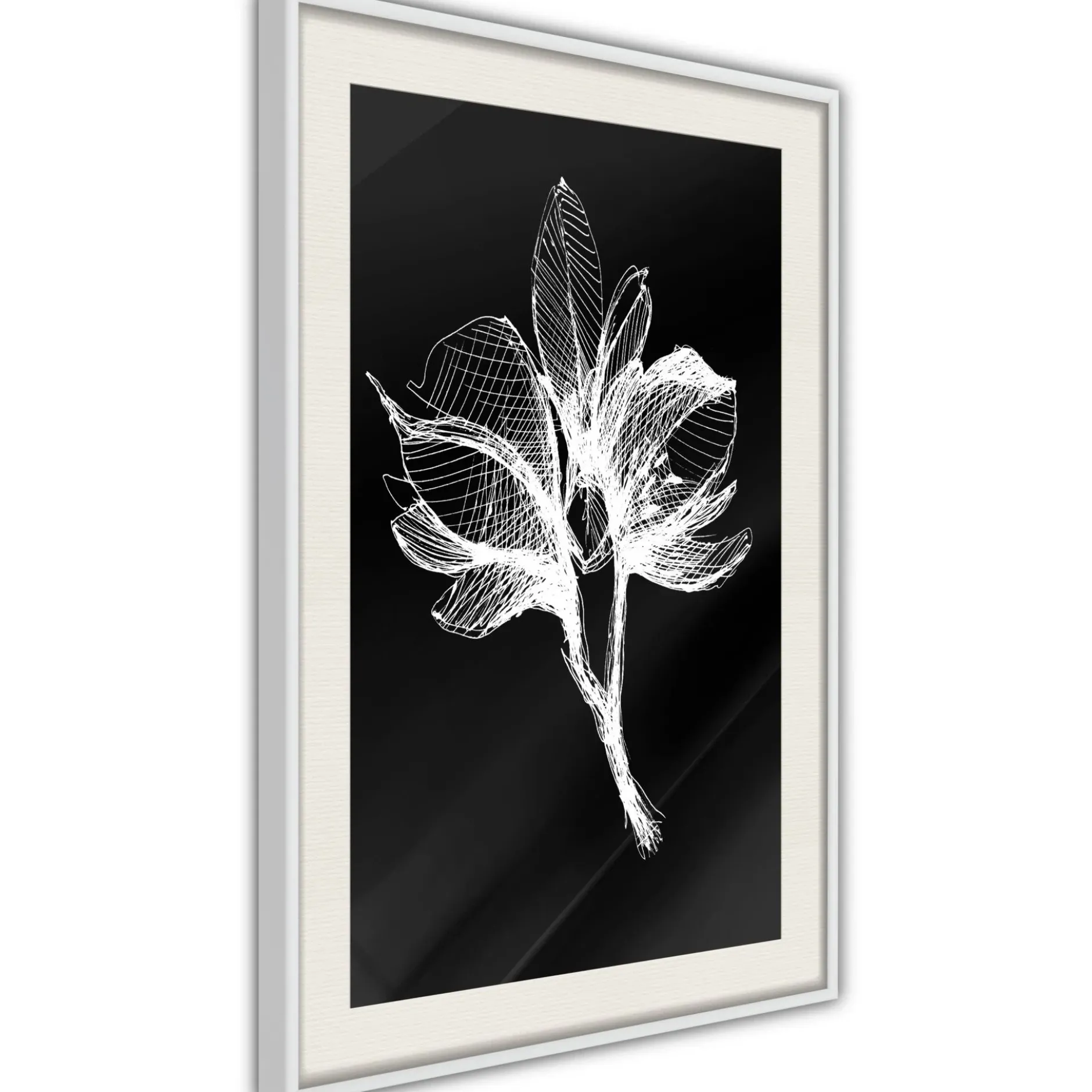 Poster 'White Plant'