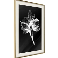 Poster 'White Plant'