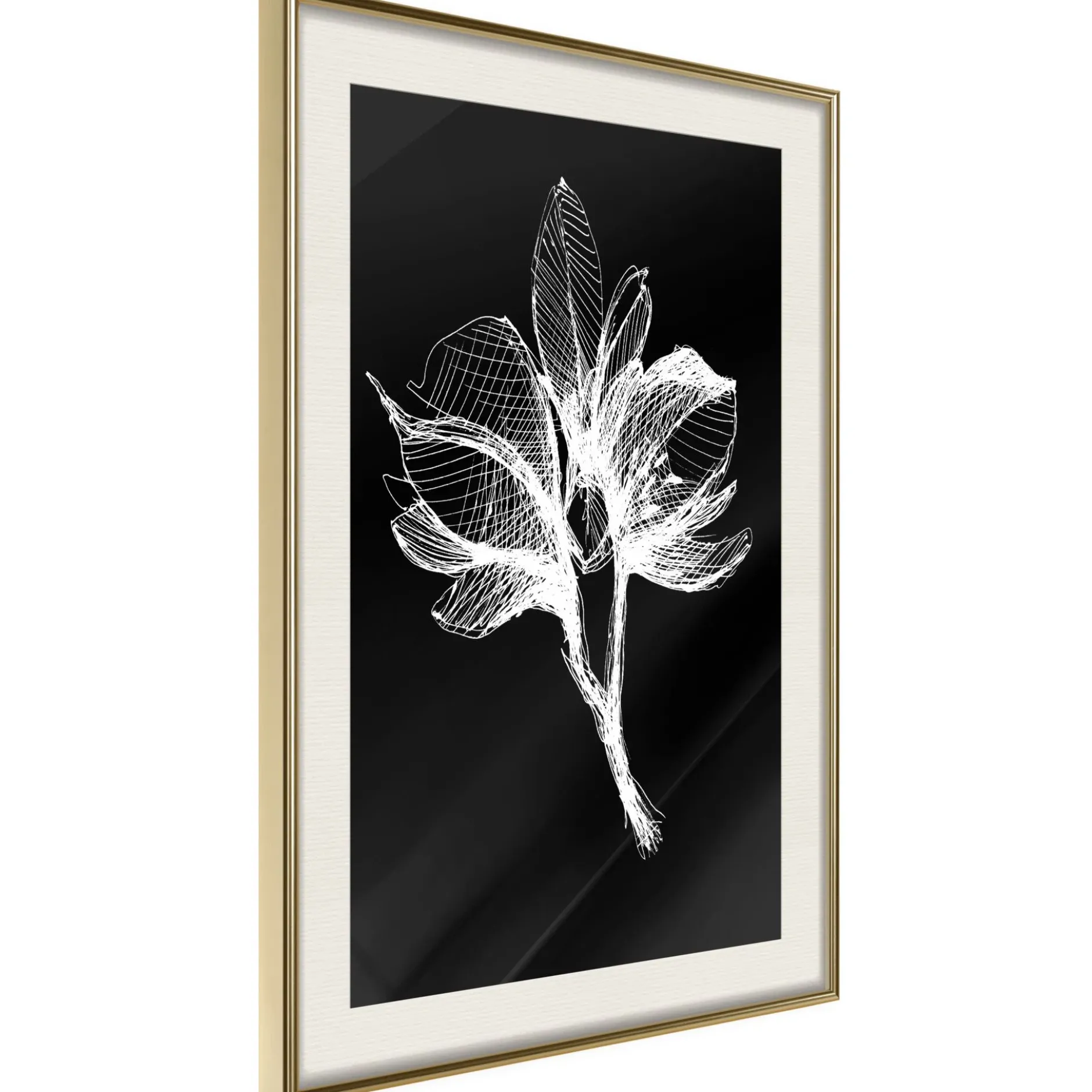 Poster 'White Plant'