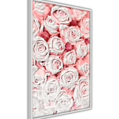 Poster 'White Rosaes'