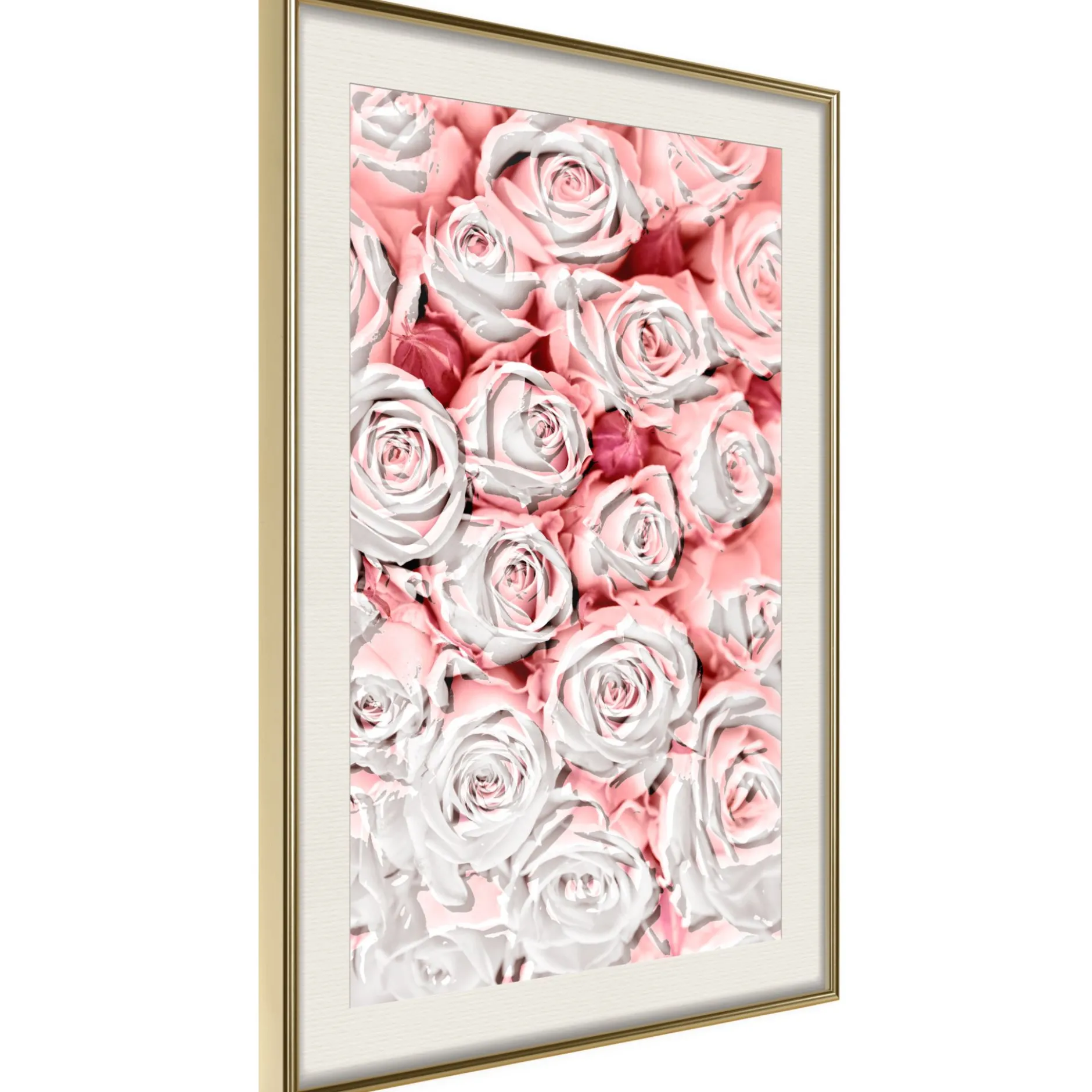 Poster 'White Rosaes'