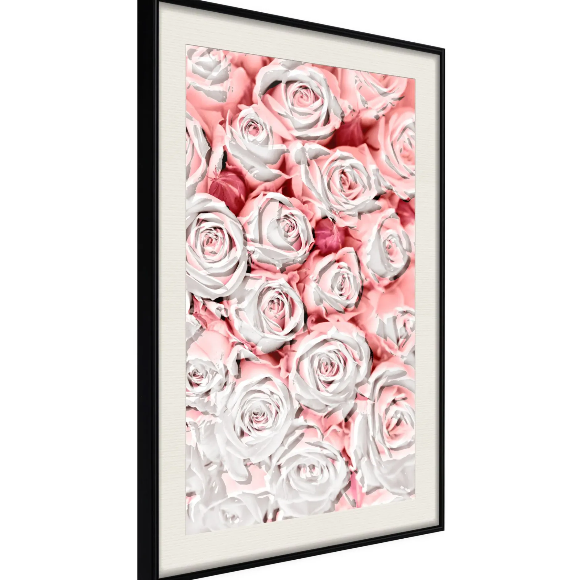 Poster 'White Rosaes'