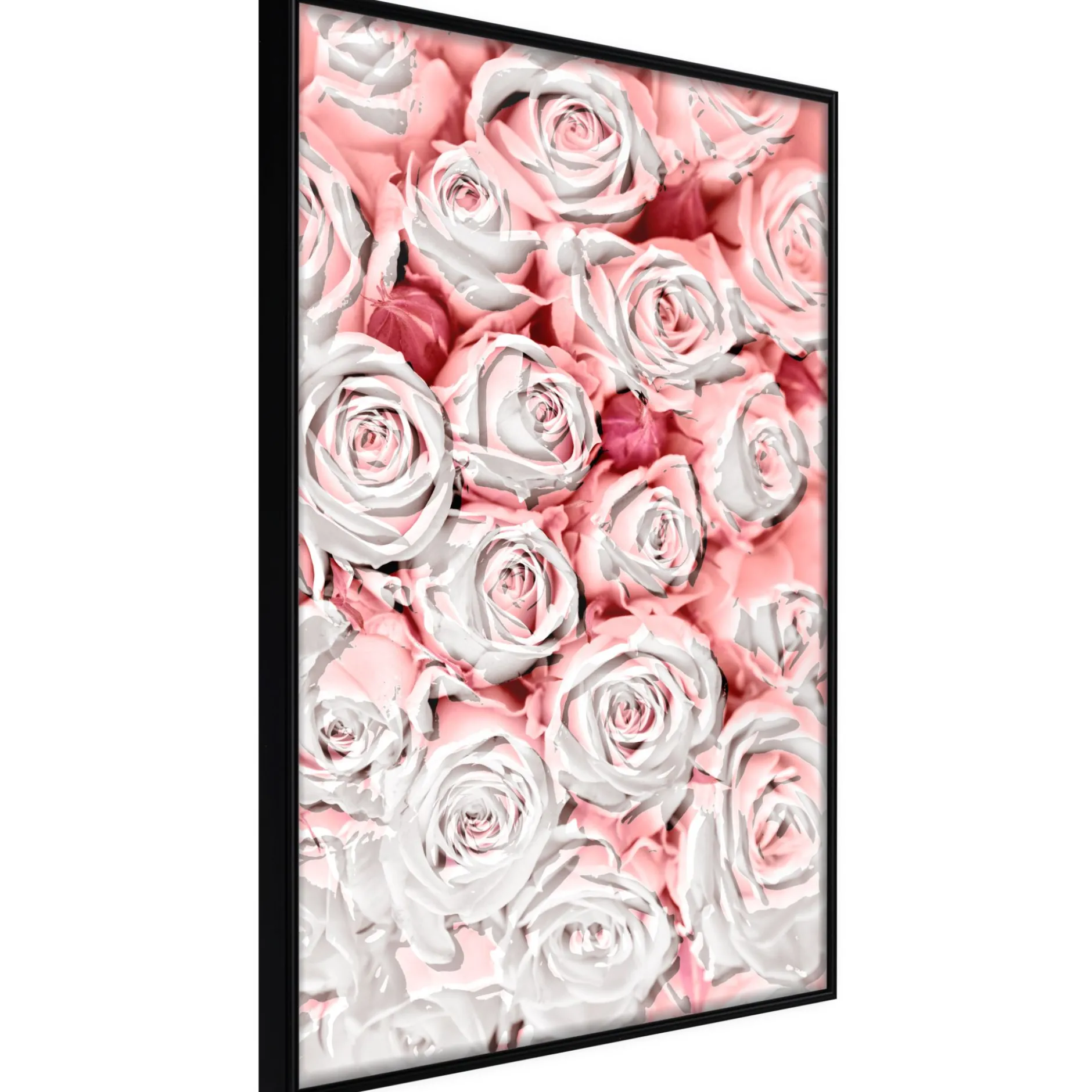 Poster 'White Rosaes'