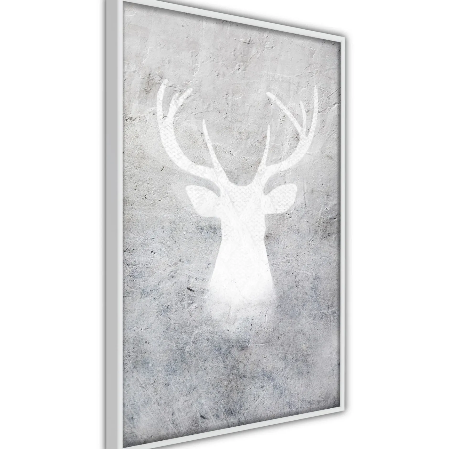 Poster 'White Shadow'