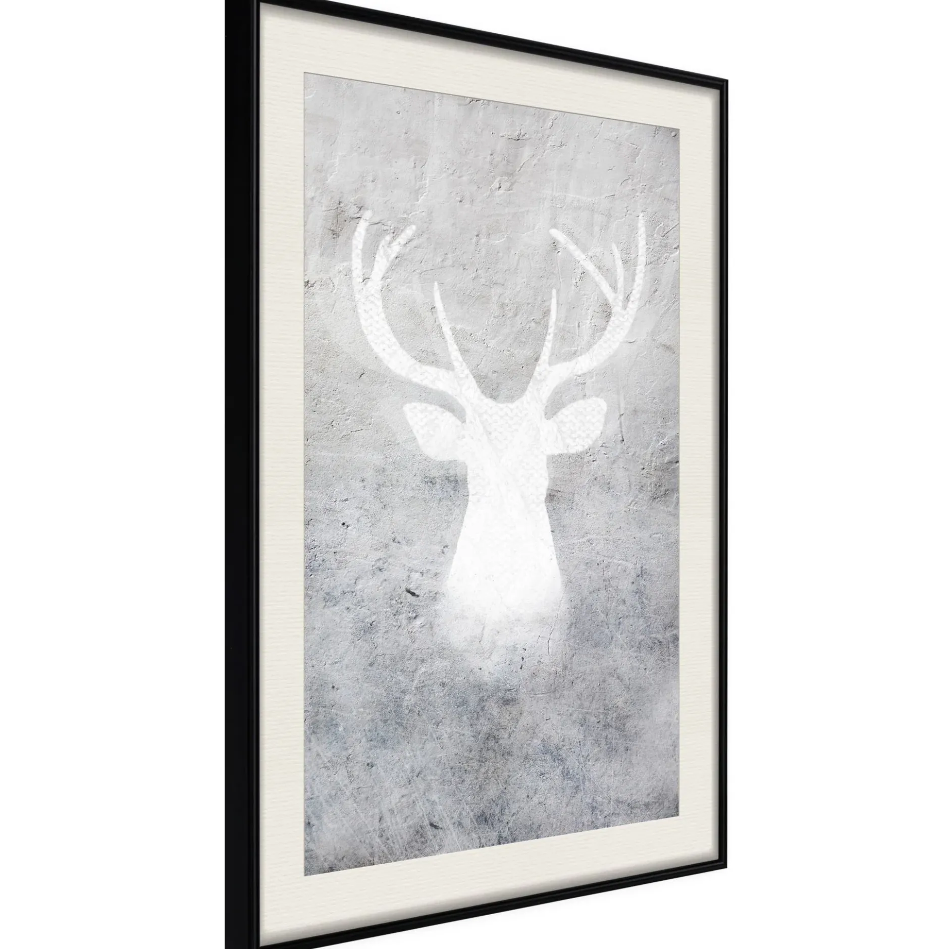 Poster 'White Shadow'