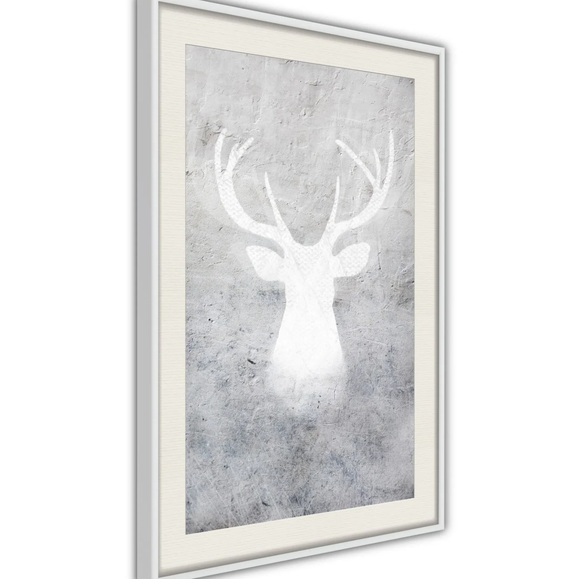 Poster 'White Shadow'