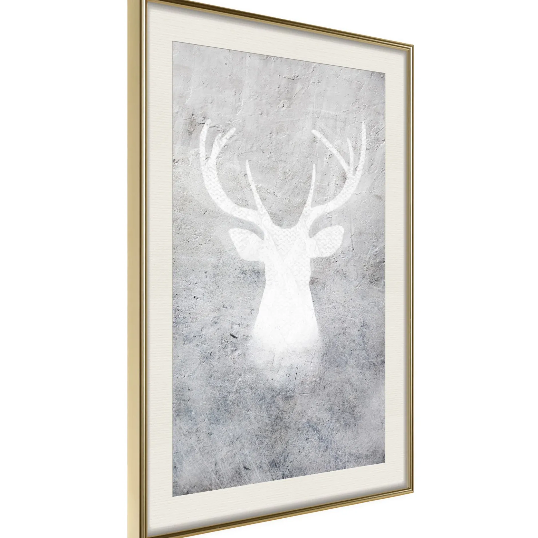 Poster 'White Shadow'