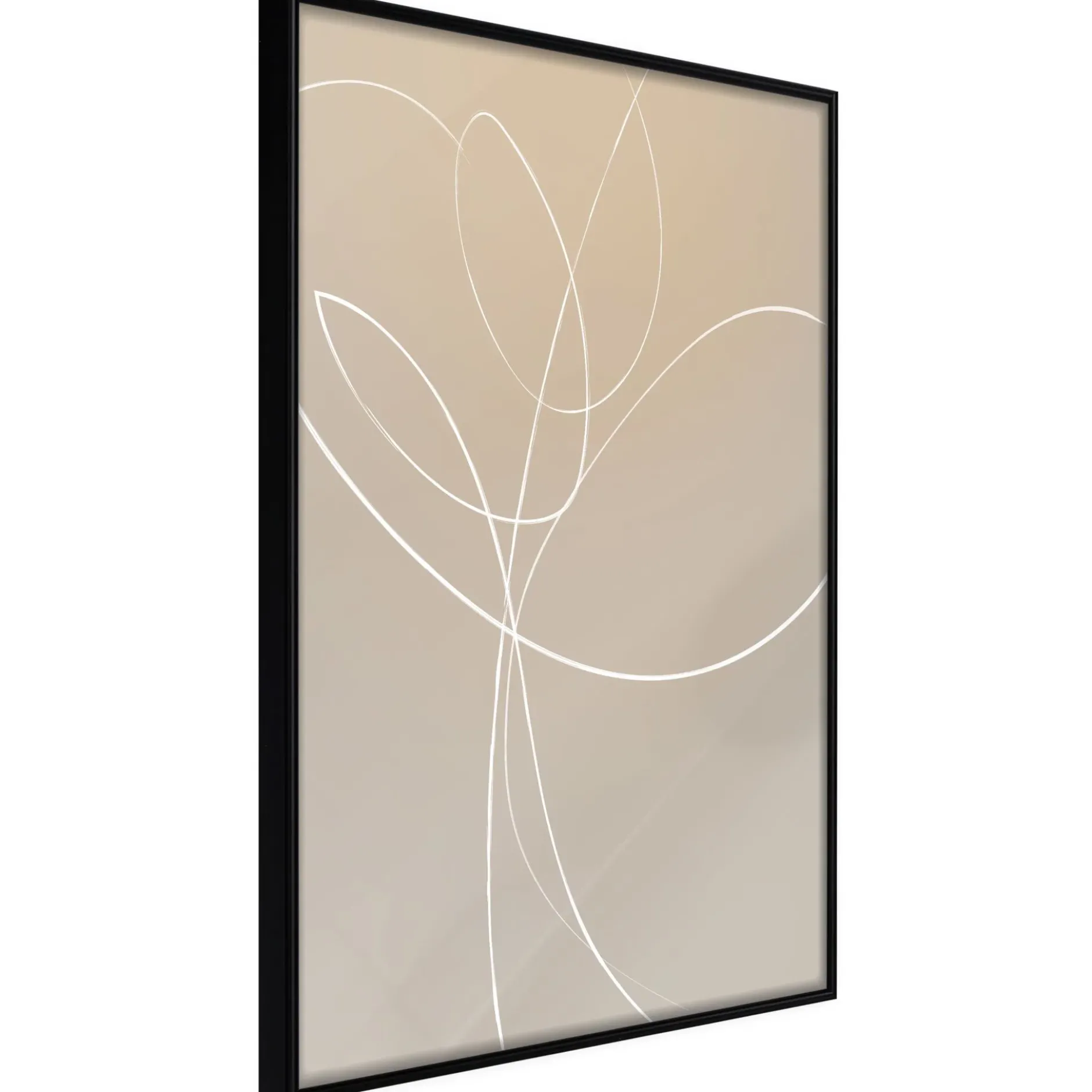 Poster 'White Tulip'
