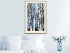 Poster 'Winter Birch Trees'