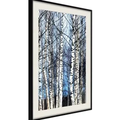 Poster 'Winter Birch Trees'