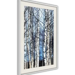 Poster 'Winter Birch Trees'