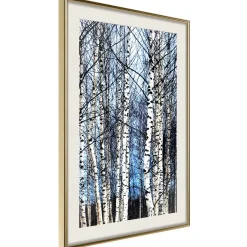 Poster 'Winter Birch Trees'