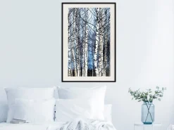 Poster 'Winter Birch Trees'