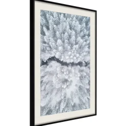 Poster 'Winter Forest From a Bird's Eye View'