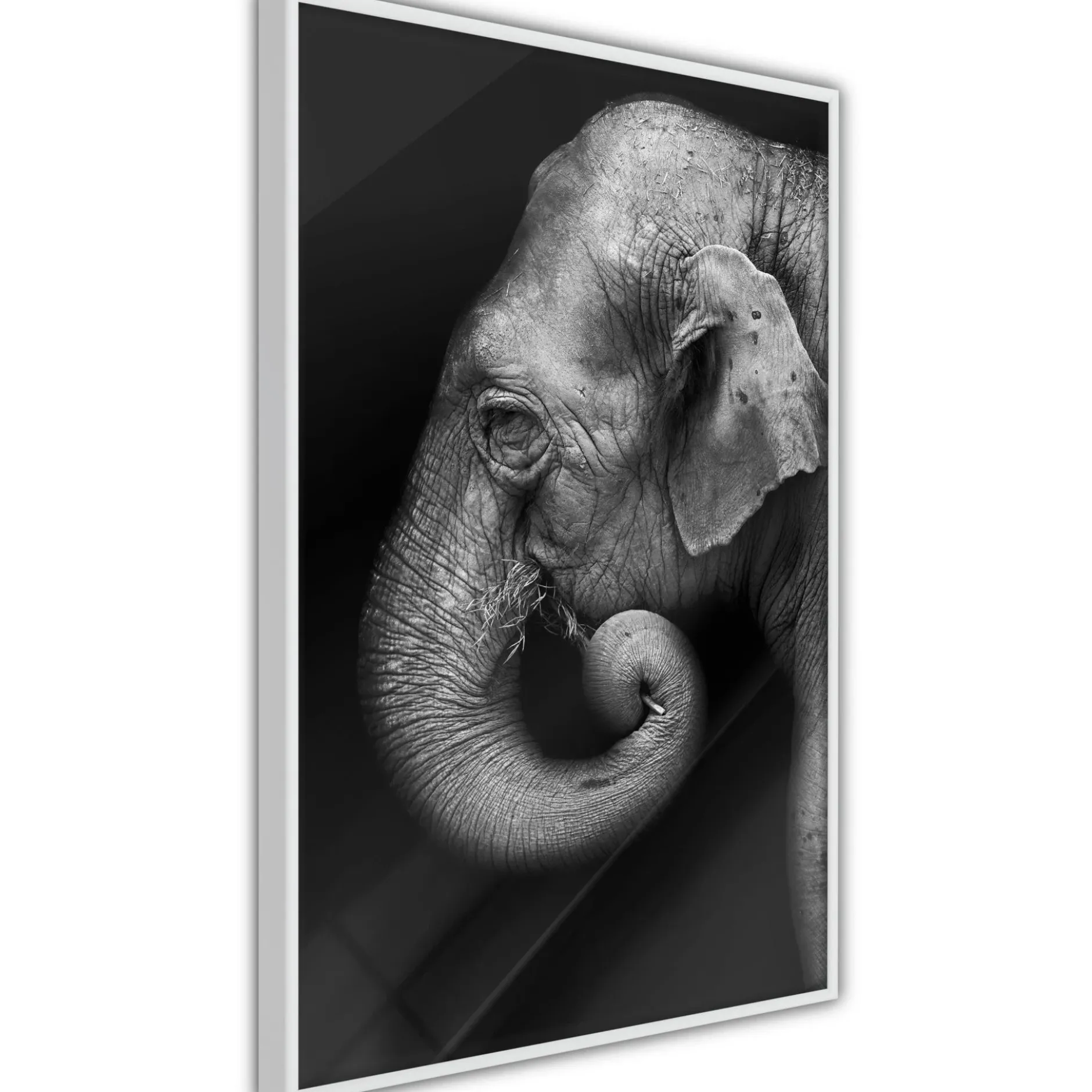 Poster 'Wisdom'