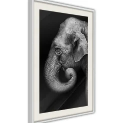 Poster 'Wisdom'