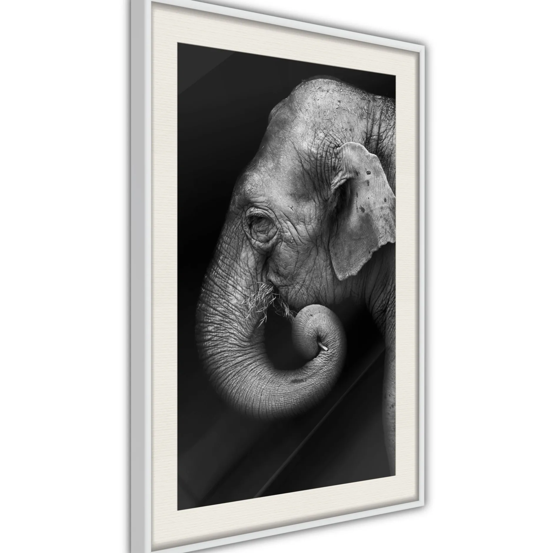 Poster 'Wisdom'
