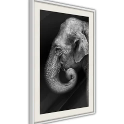 Poster 'Wisdom'