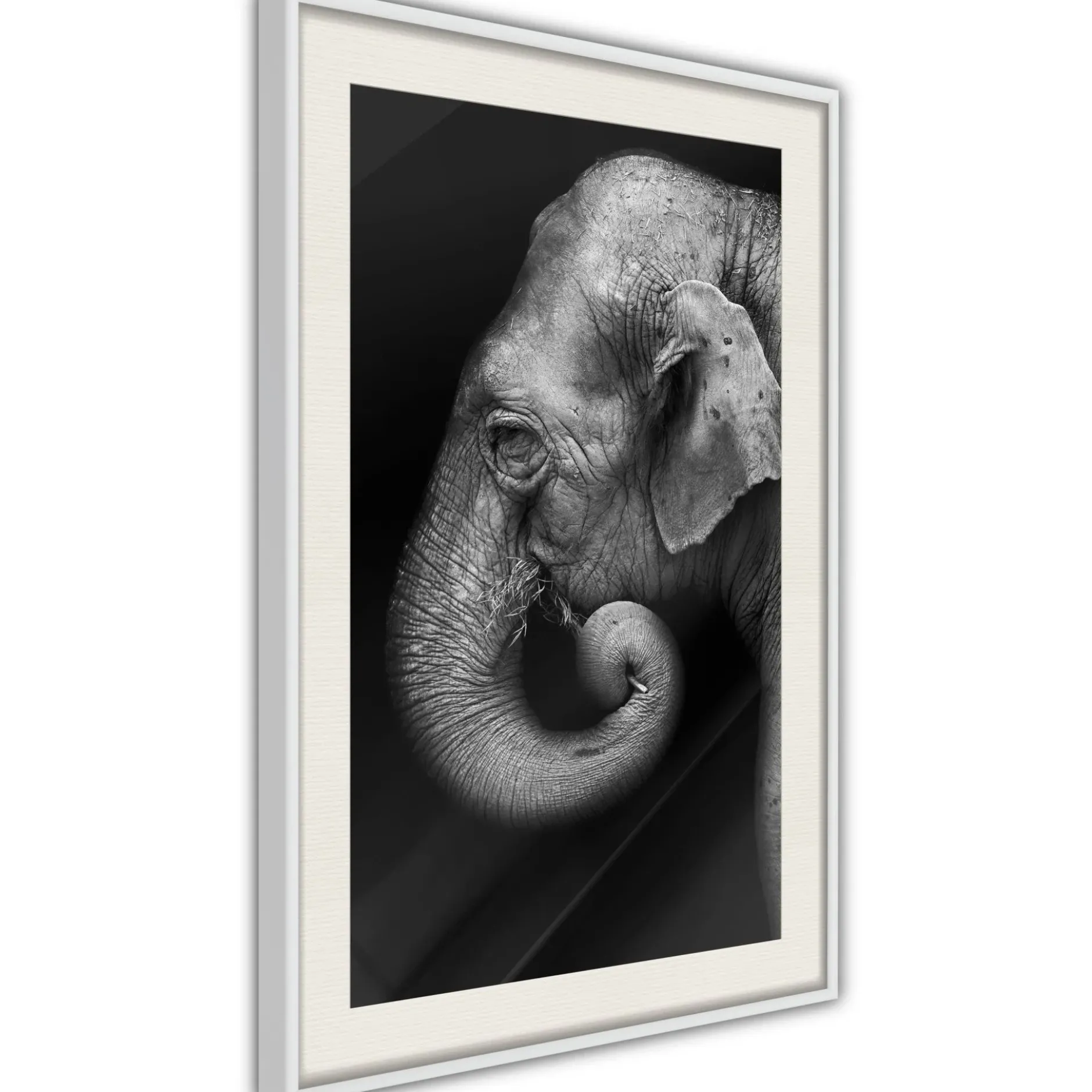 Poster 'Wisdom'
