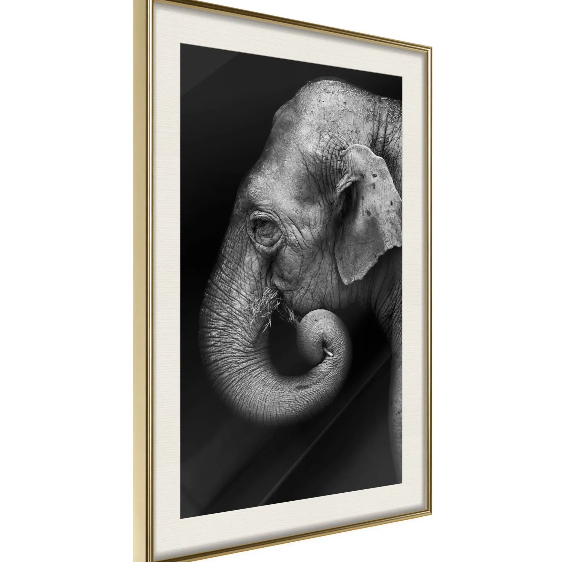 Poster 'Wisdom'