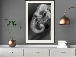 Poster 'Wisdom'