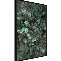 Poster 'World from High Above'