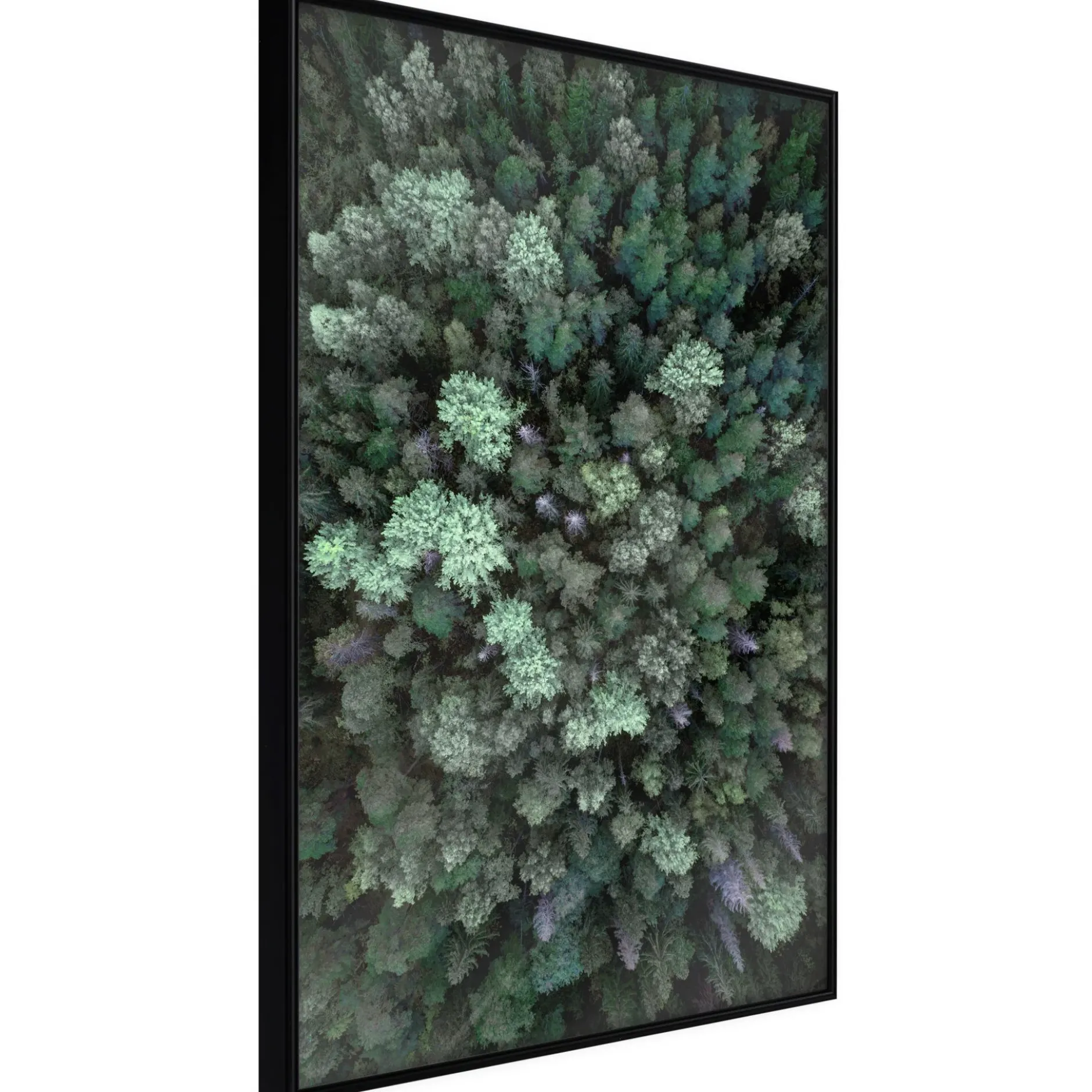 Poster 'World from High Above'