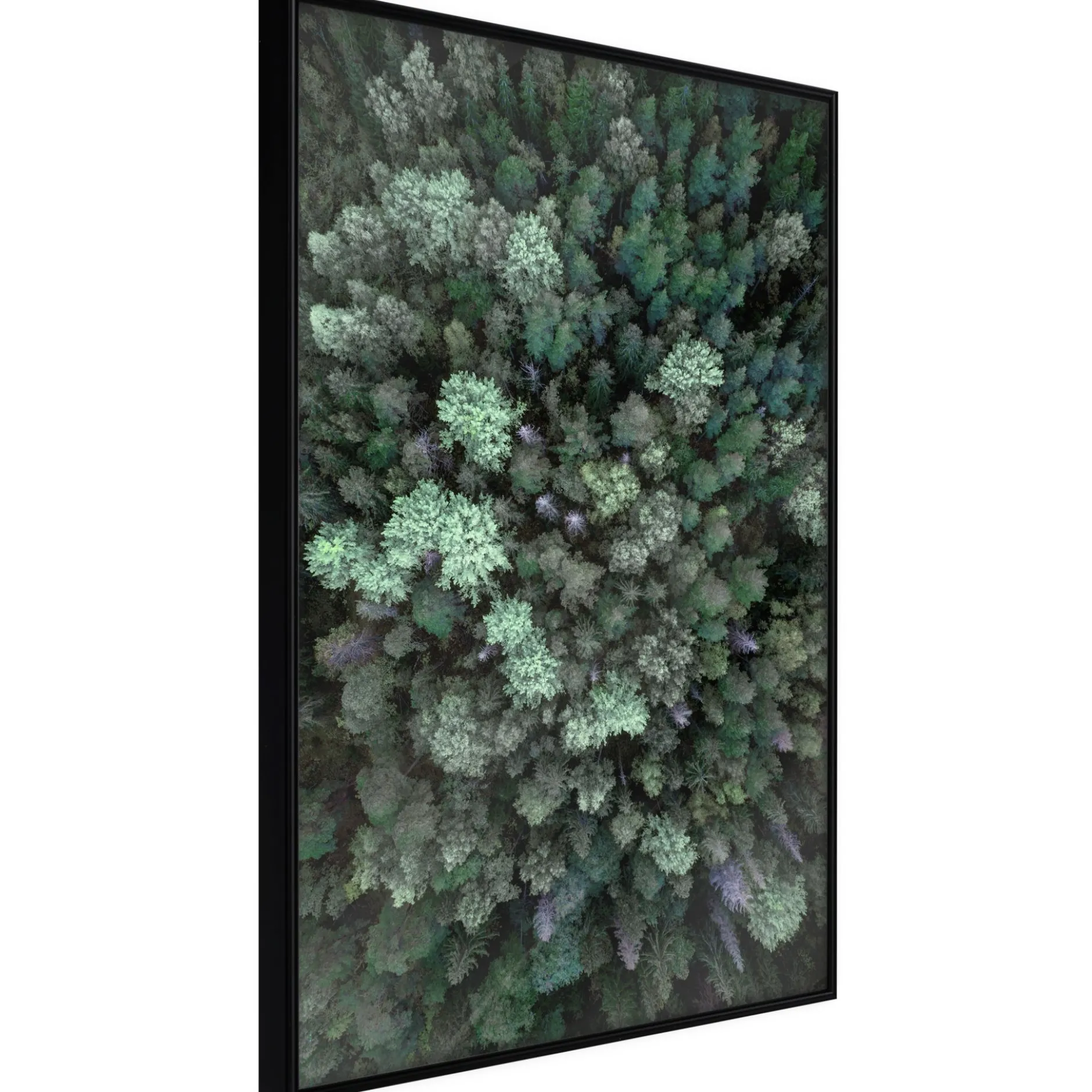 Poster 'World from High Above'