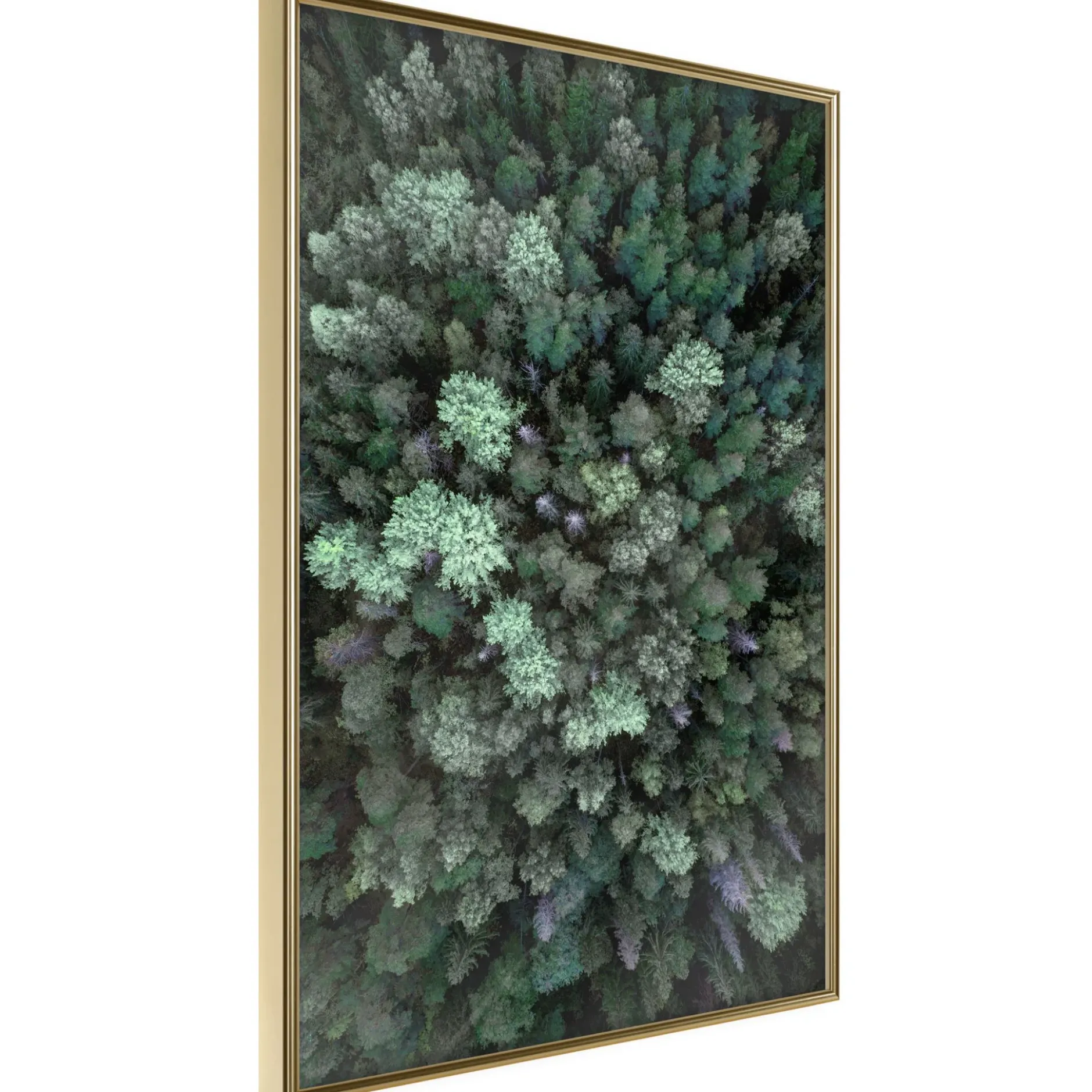 Poster 'World from High Above'