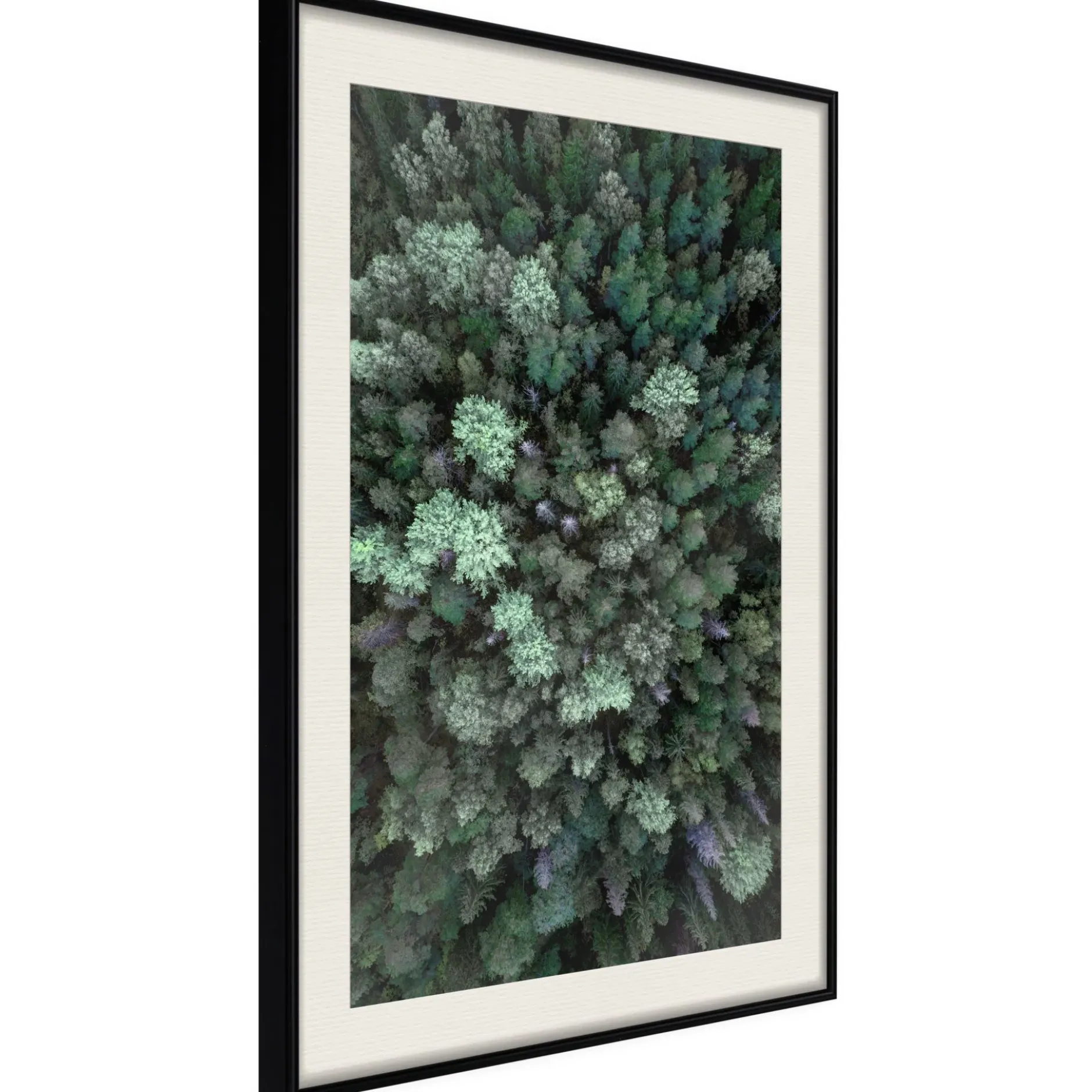 Poster 'World from High Above'