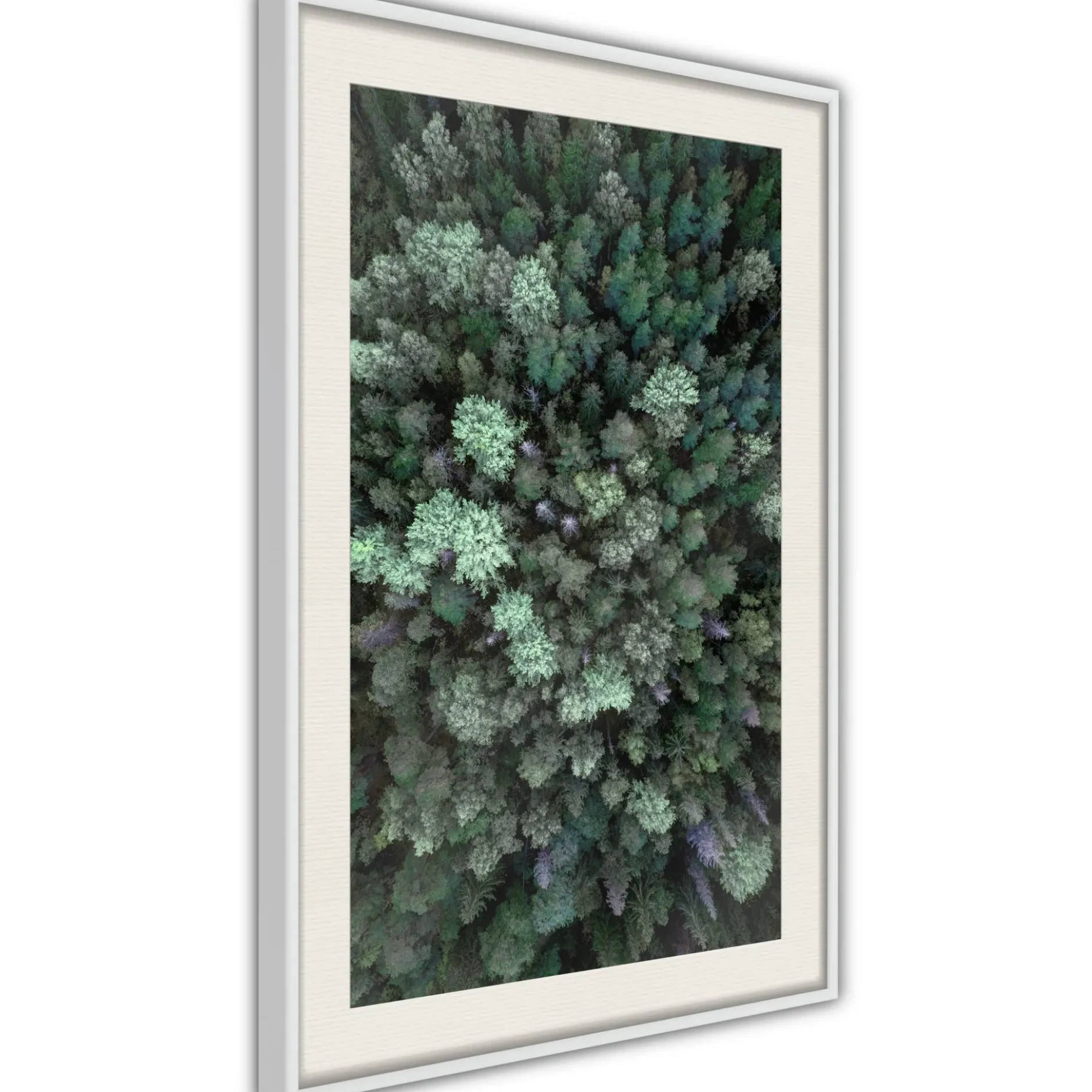 Poster 'World from High Above'