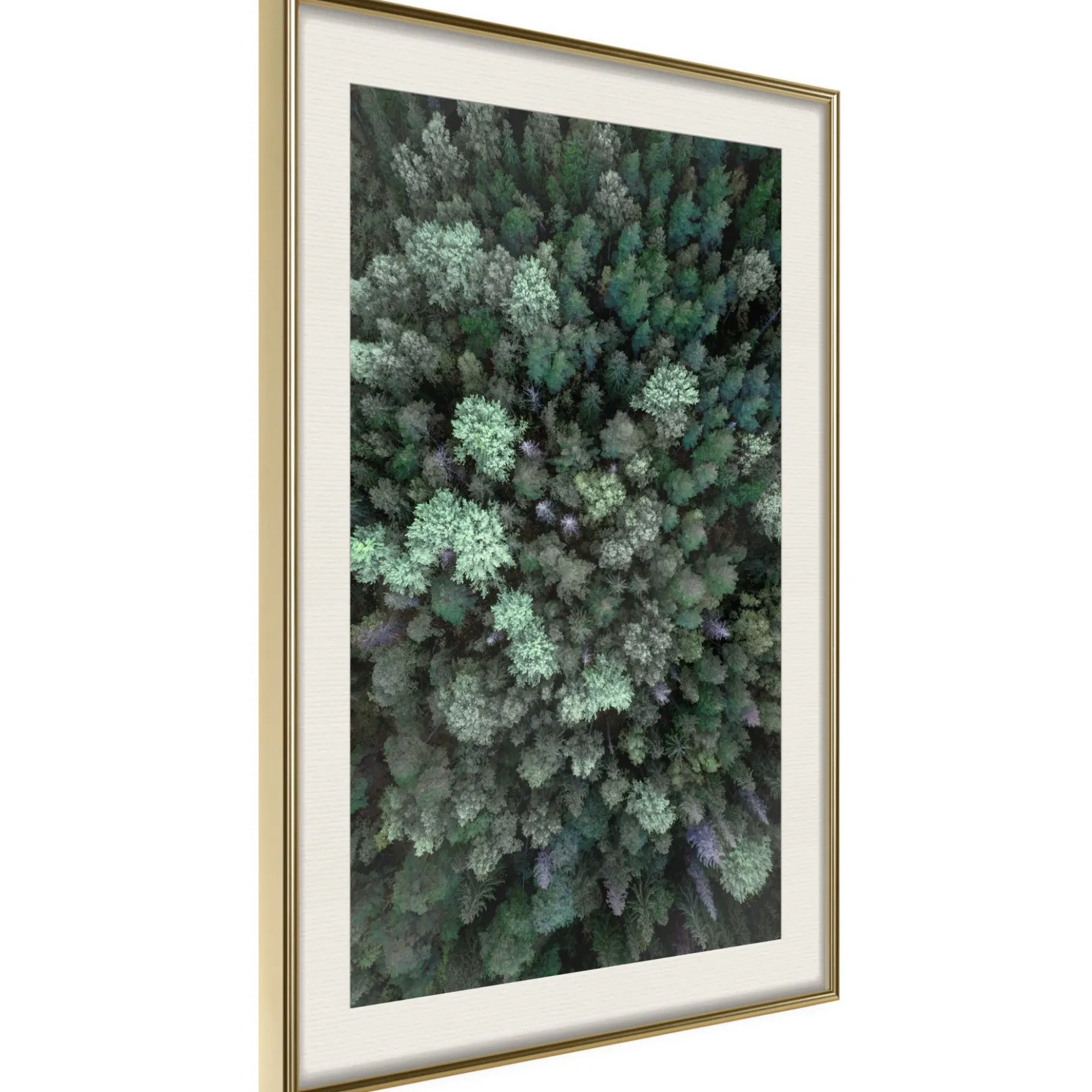 Poster 'World from High Above'