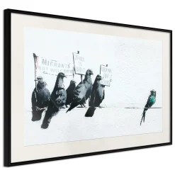 Poster 'Xenophobic Pigeons'