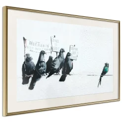 Poster 'Xenophobic Pigeons'